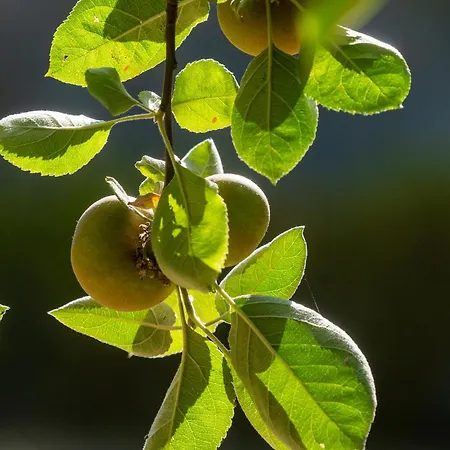 Castelo Geres - Exquisite Eco-cottage - Jacuzzi 別荘