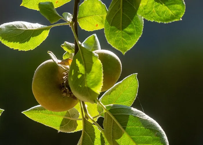 Castelo Geres - Exquisite Eco-cottage - Jacuzzi Дом отдыха